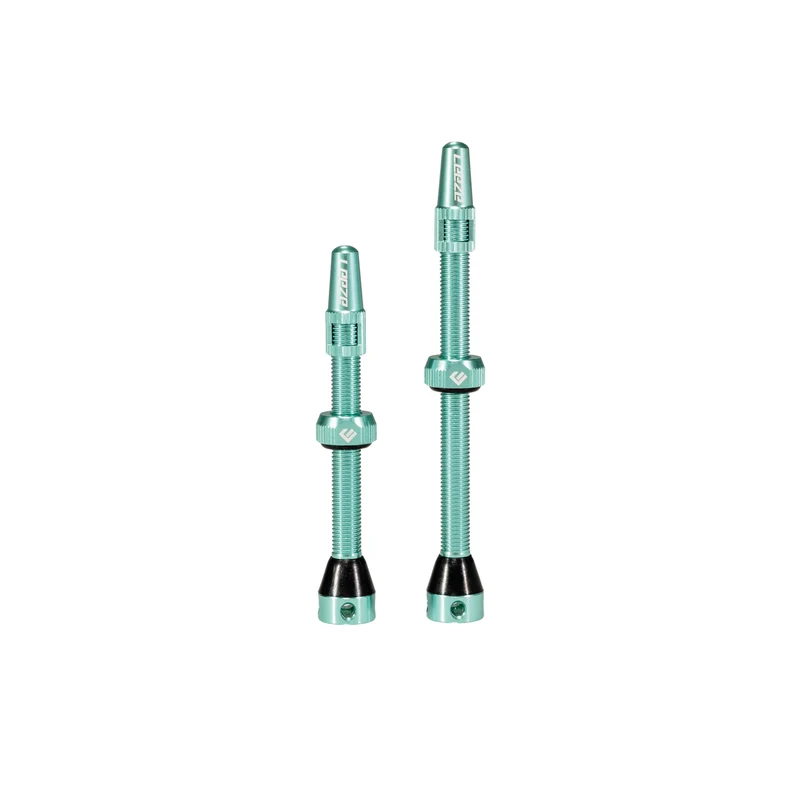 Tubelessventile PRO (Paar)