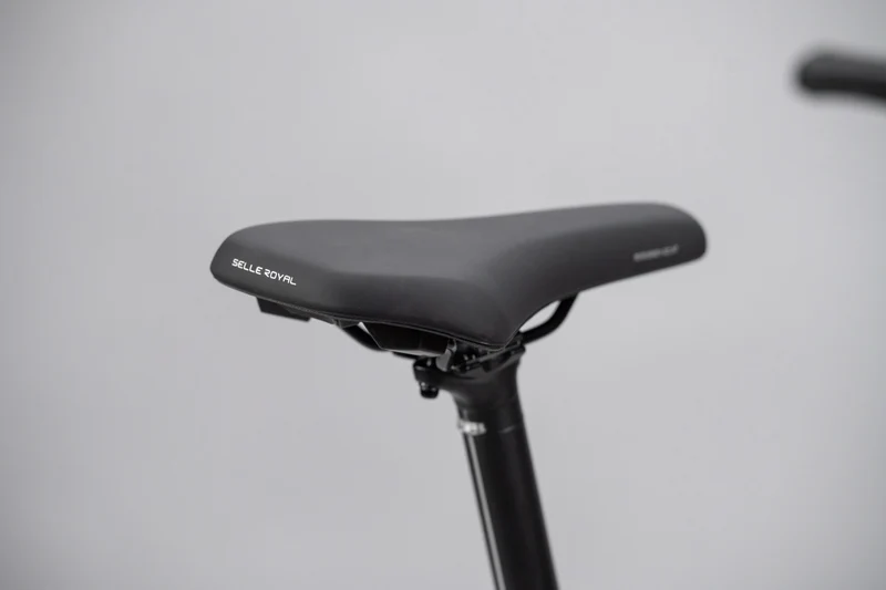 Schindelhauer Neo Electric Alu Pur