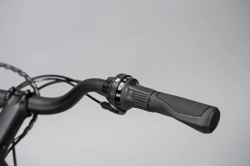 Schindelhauer Neo Electric Alu Pur