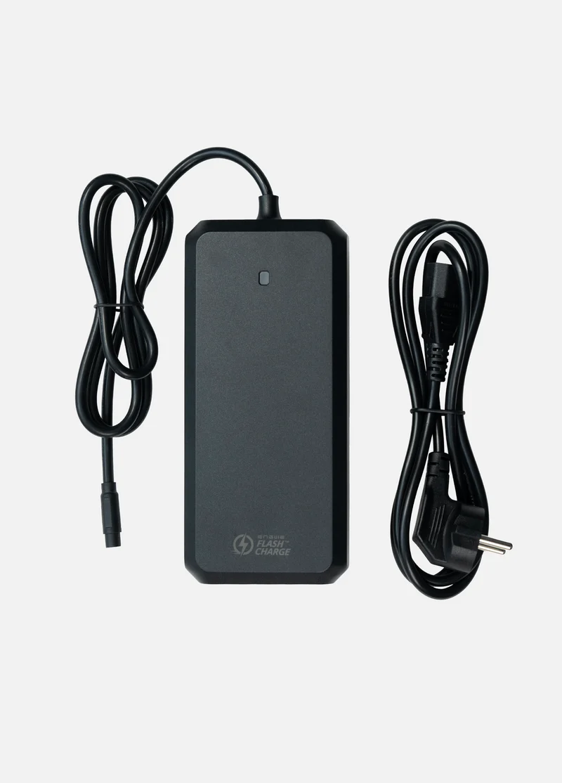 ENGWE Charger