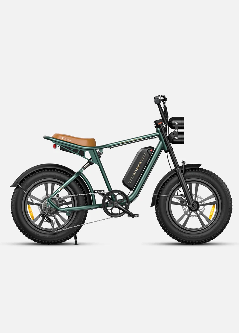 ENGWE M20
