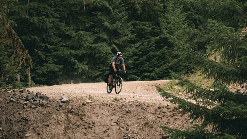 Schindelhauer Wilhelm Gravel Rohloff Alu Pur