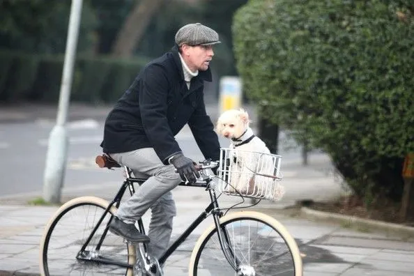 Fahrradkorb Brooks Hoxton silber