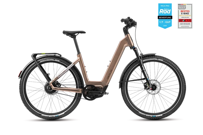 Deruiz Mica Pro 2026