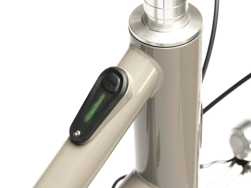 E-Bike Pelago Wellamo Walnut