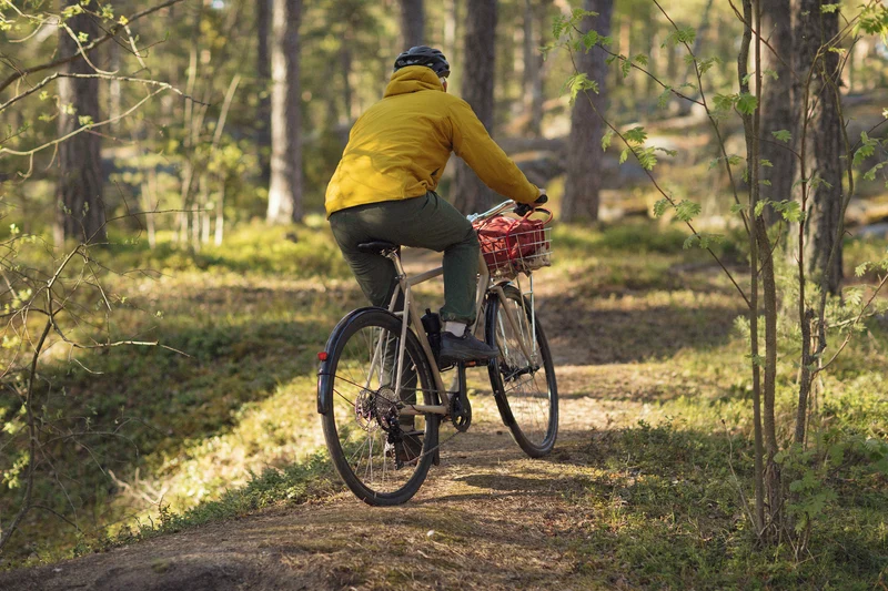 Touringbike Pelago Hanko Outback Dynamo Walnut
