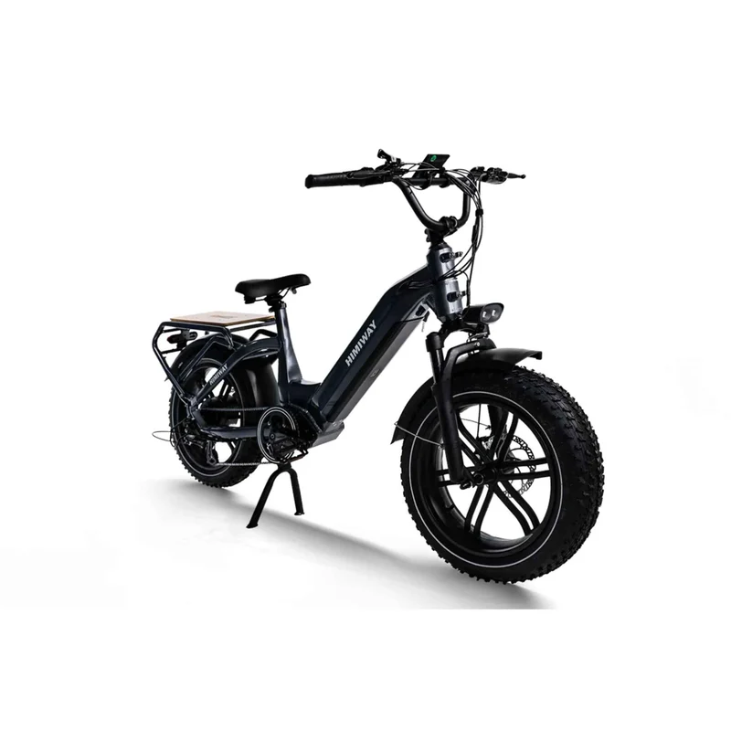 Himiway Big Dog - Elektrisches Lastenfahrrad
