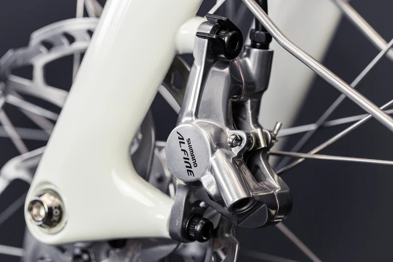 E-Bike Schindelhauer Antonia VI Salbeigrün X20