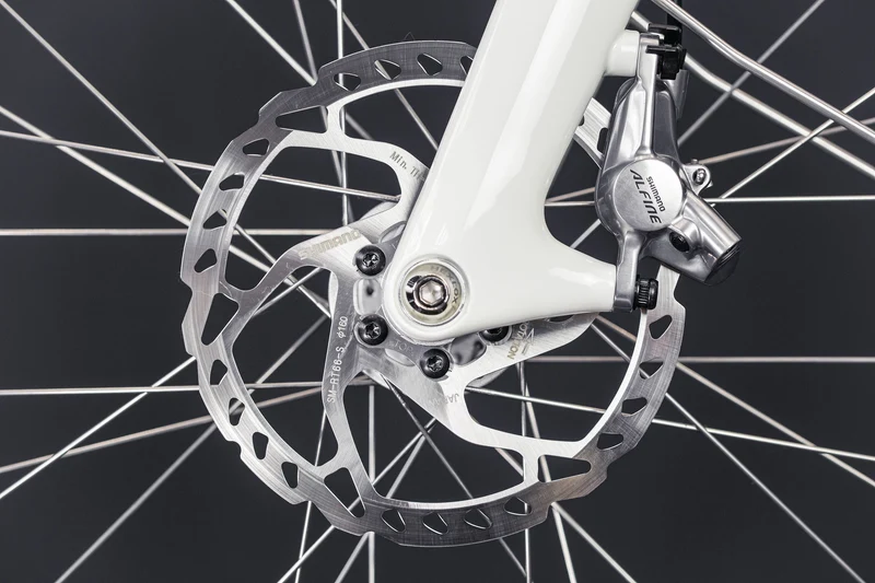 E-Bike Schindelhauer Antonia VI Salbeigrün X20