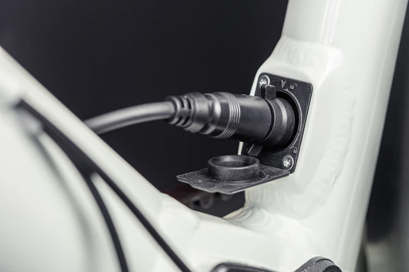 E-Bike Schindelhauer Antonia VI Salbeigrün X20
