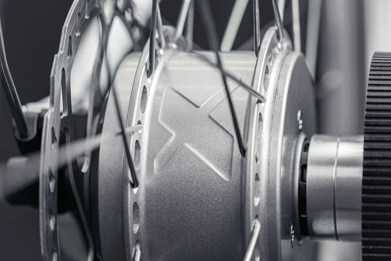 E-Bike Schindelhauer Antonia VI Salbeigrün X20