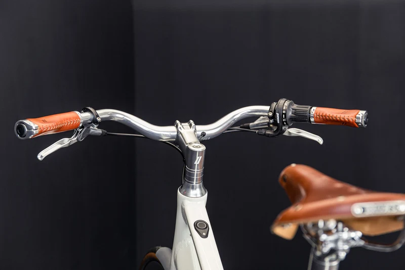 E-Bike Schindelhauer Antonia VI Salbeigrün X20