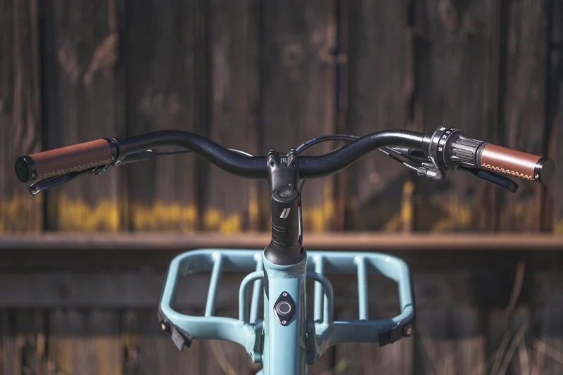 E-Bike Schindelhauer Emilia IX Salbeigrün X20