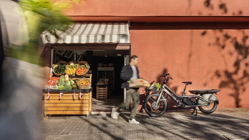 Lastenrad Specialized Porto smoke black