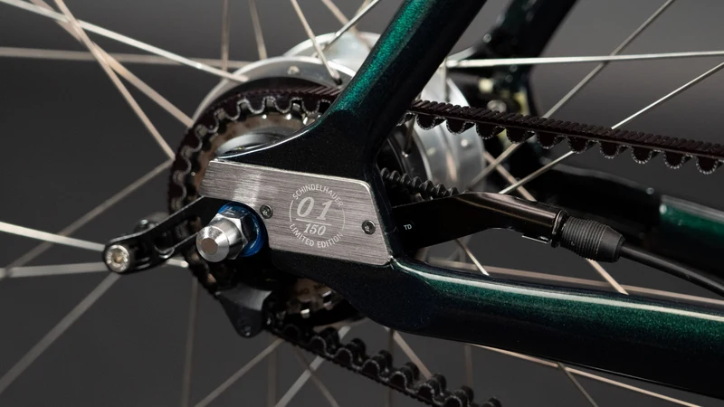 Citybike Schindelhauer Ludwig XI Pine Green Edition