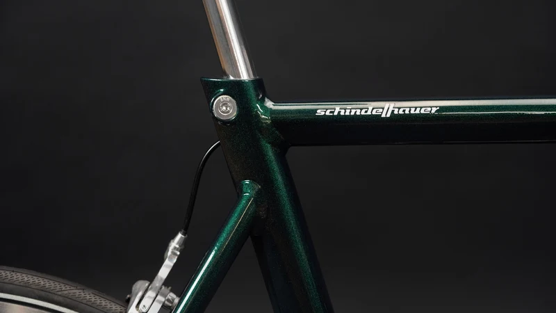 Citybike Schindelhauer Ludwig XI Pine Green Edition