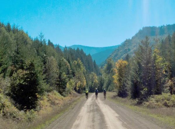 Rene Herse Stampede Pass