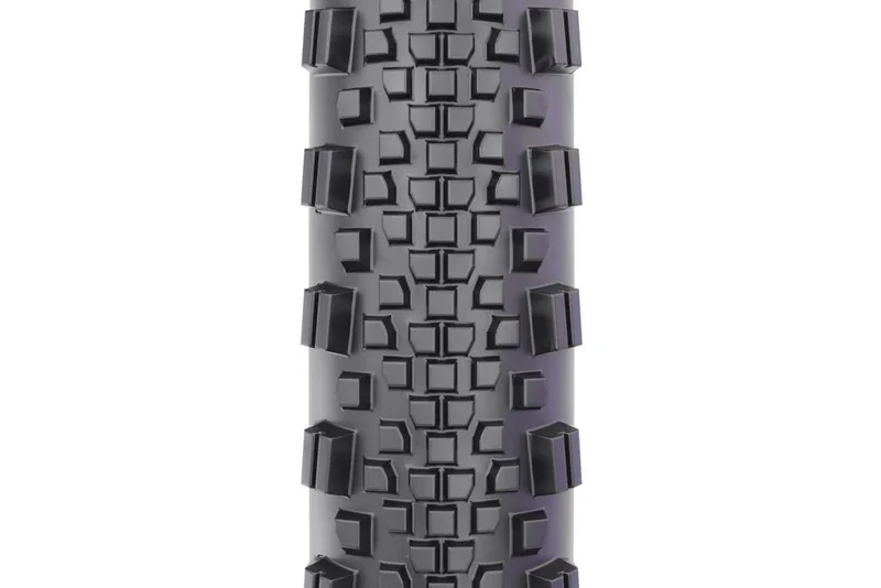 WTB RADDLER TCS