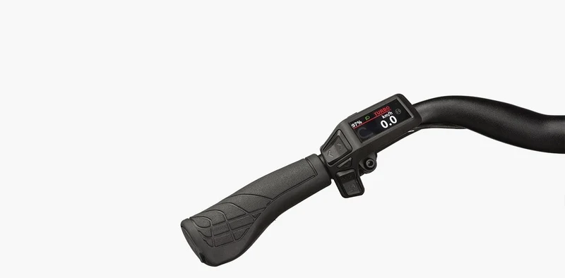 Riese & Müller Culture mixte silent 400Wh Purion 200 blossom
