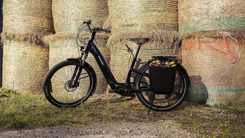 Specialized Coolcave Pannier