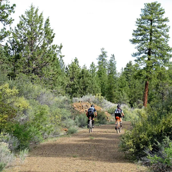 Rene Herse Switchback Hill