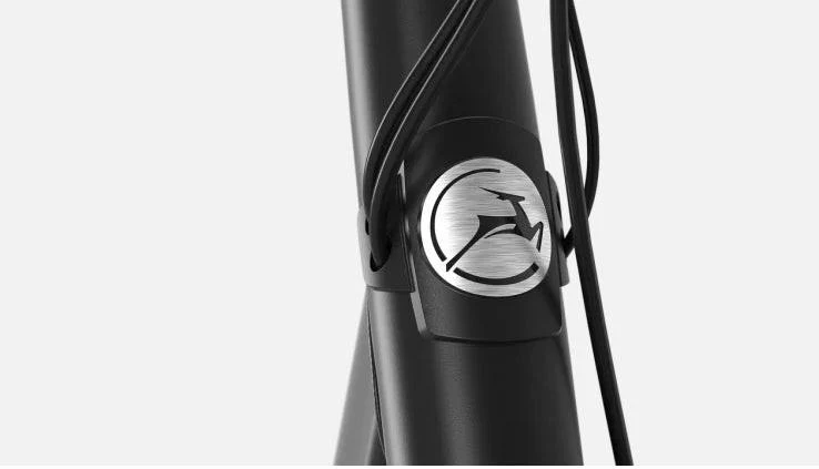 Gazelle Paris C8 500 Wh black matt