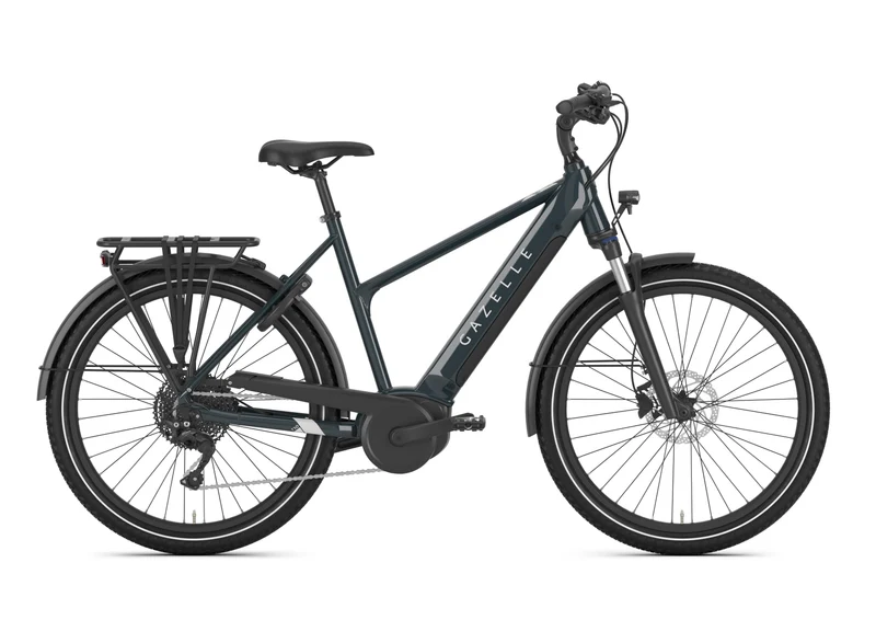 Gazelle Medeo T10 625 Wh pine green glänzend
