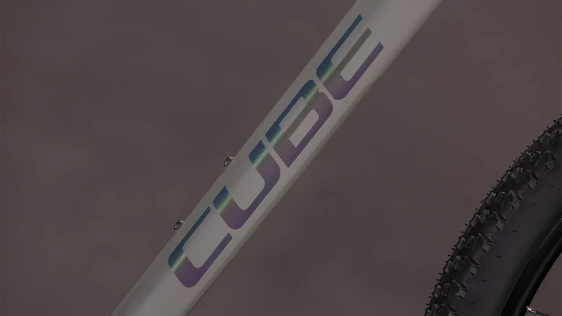 Cube Reaction C:62 ONE oldgrey´n´black 2026