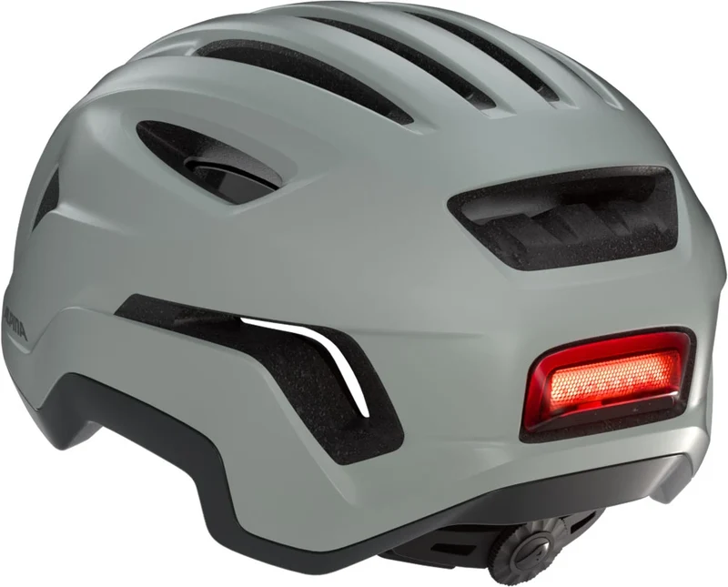 Alpina Paranus Plugin Light