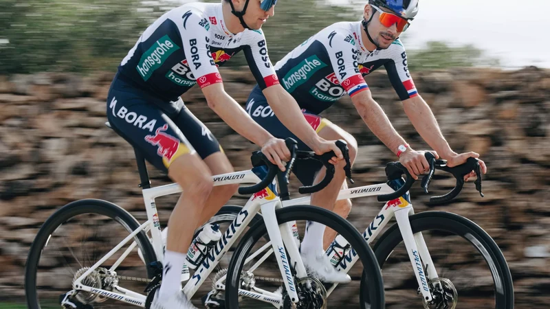 Specialized S-Works Tarmac SL8 Team Replica Rahmen