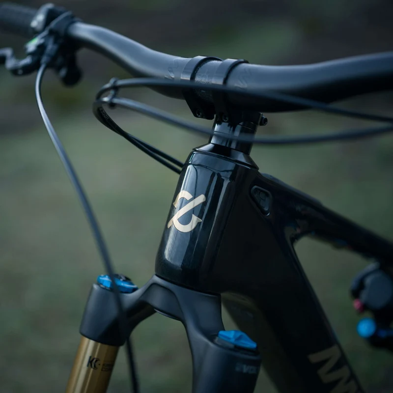 Amflow PL Carbon Pro 800 Wh cosmic black