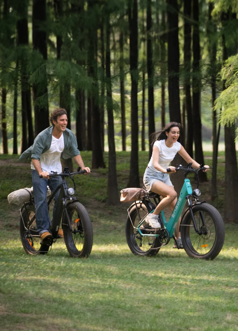 Engwe E26 All Terrain E-Bike