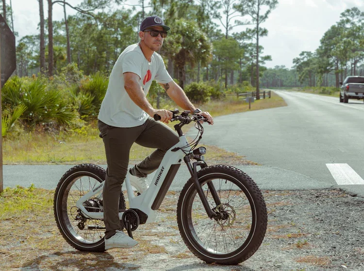 Himiway Zebra Step-Thru All Terrain E-Bike *New Model*