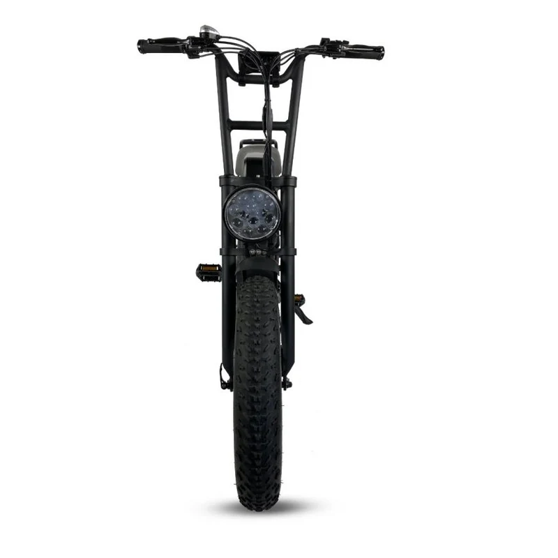 Cruz 73 Pro Retro E-Bike