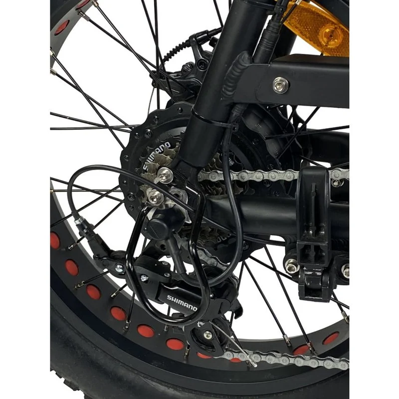 Cruz 73 Pro Retro E-Bike
