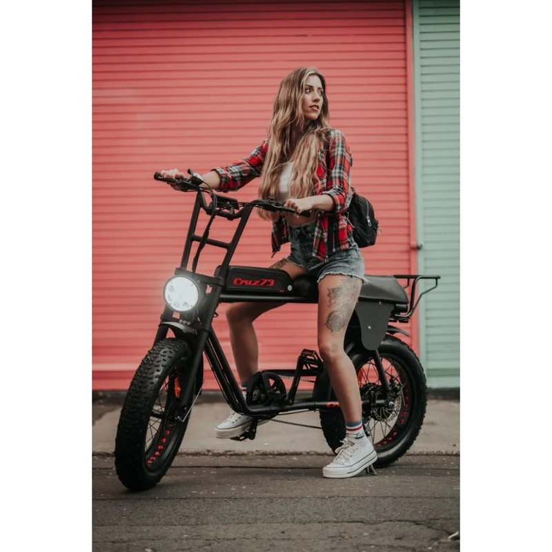 Cruz 73 Pro Retro E-Bike