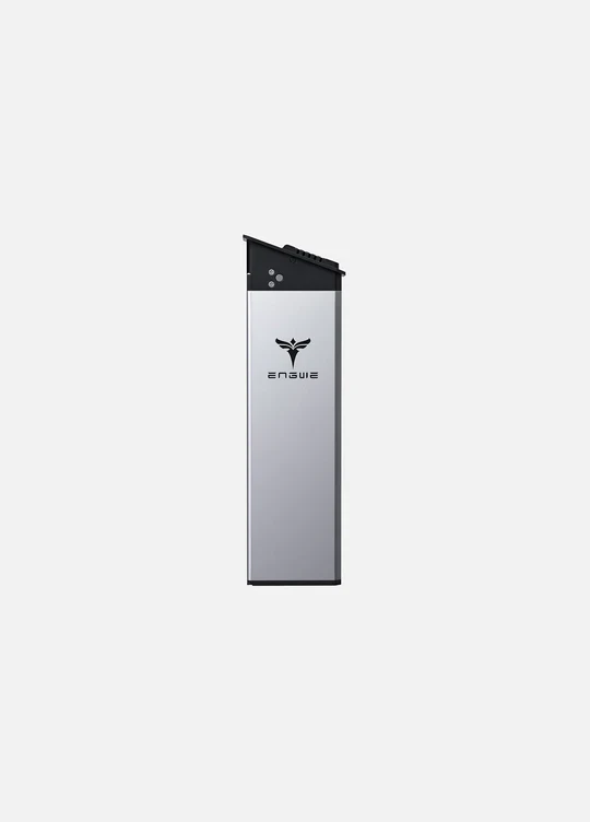 Engwe Battery