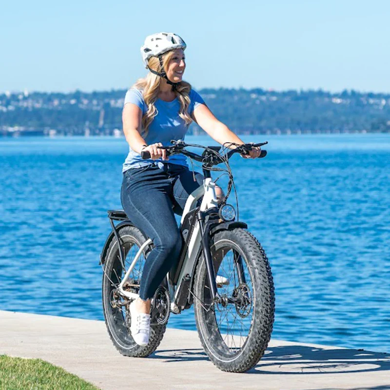 Himiway Cruiser Step-Thru E-Bike