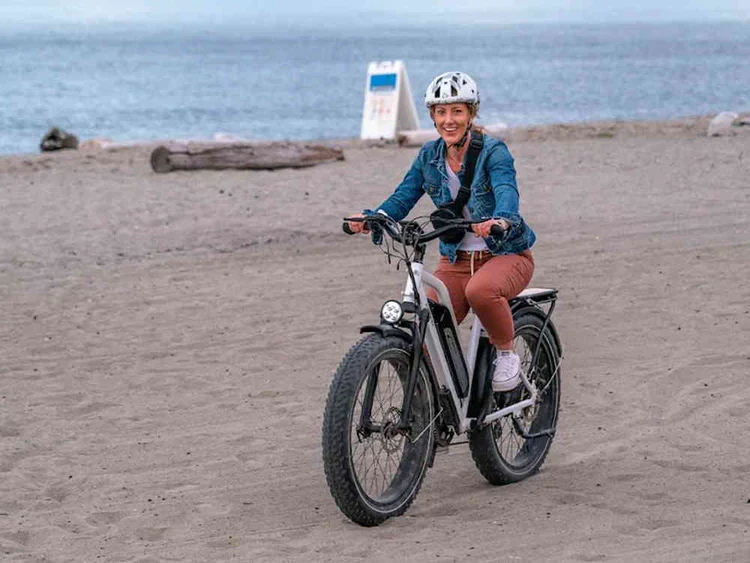 Himiway Cruiser Step-Thru E-Bike