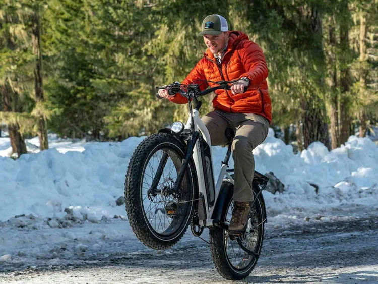 Himiway Cruiser Step-Thru E-Bike