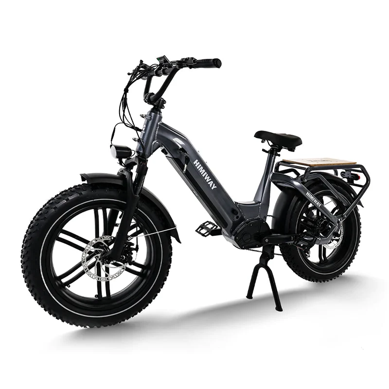 Himiway Big Dog E-Bike