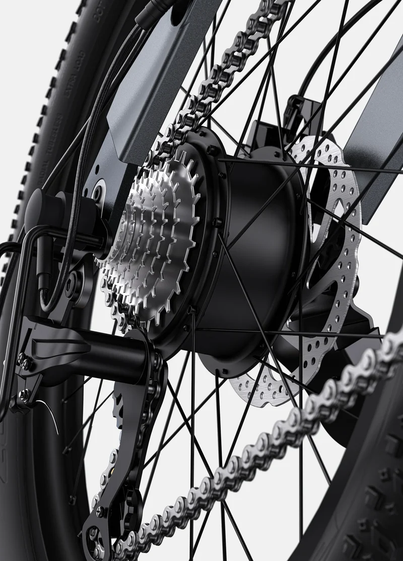 Engwe C20 Pro Folding E-Bike