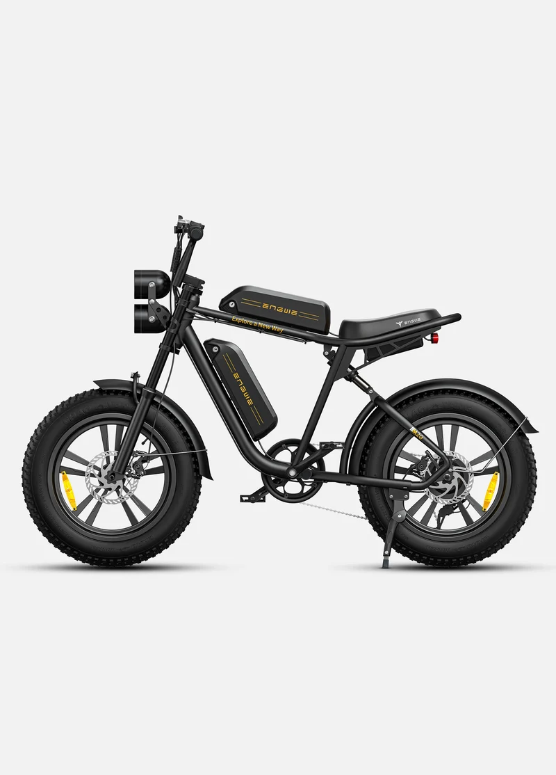 Engwe M20 Dual Battery E-Bike