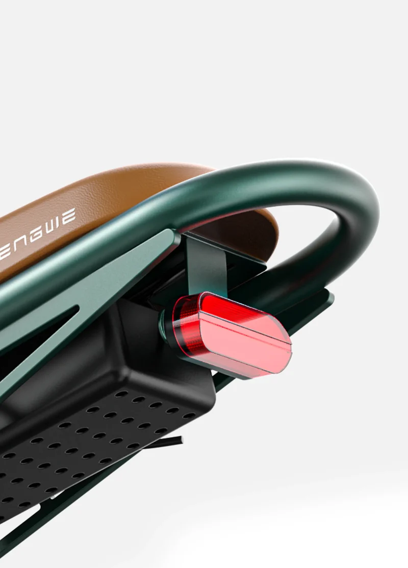 Engwe M20 Dual Battery E-Bike