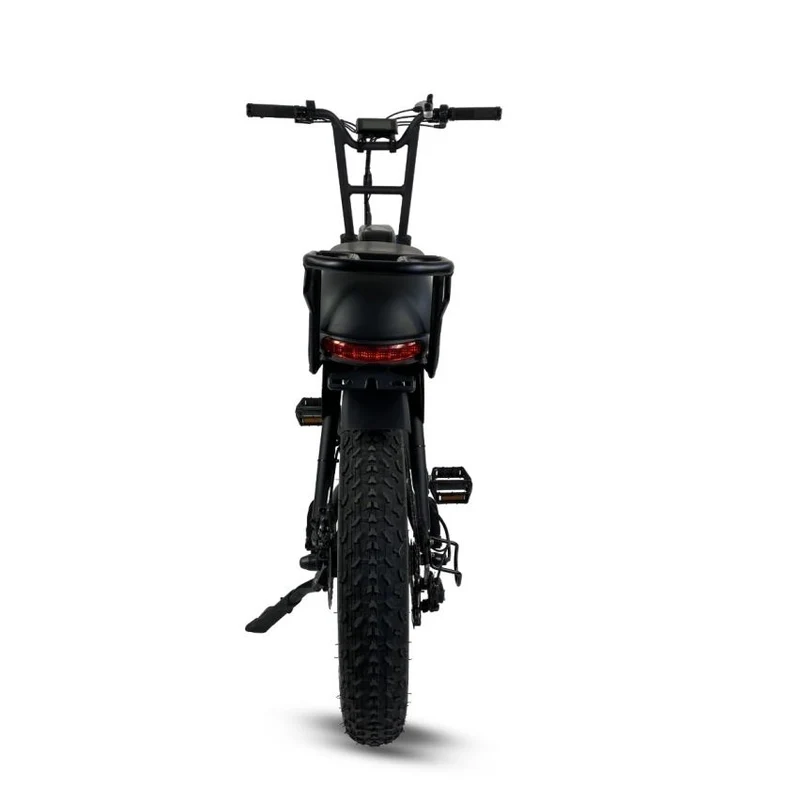 Cruz 73 Retro E-Bike - Unlimited Version