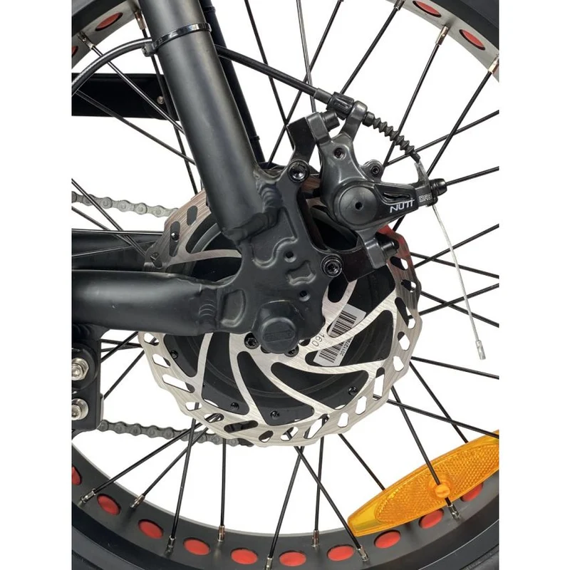 Cruz 73 Retro E-Bike - Unlimited Version