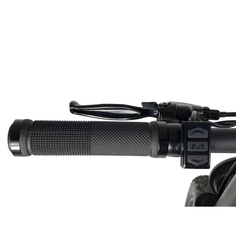 Cruz 73 Retro E-Bike - Unlimited Version