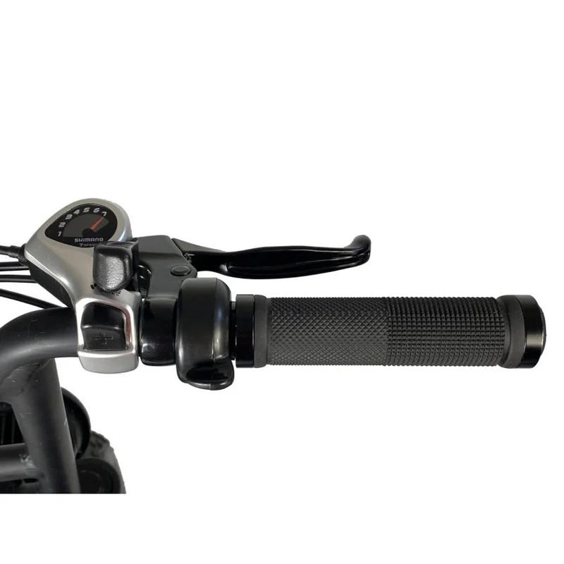Cruz 73 Retro E-Bike - Unlimited Version