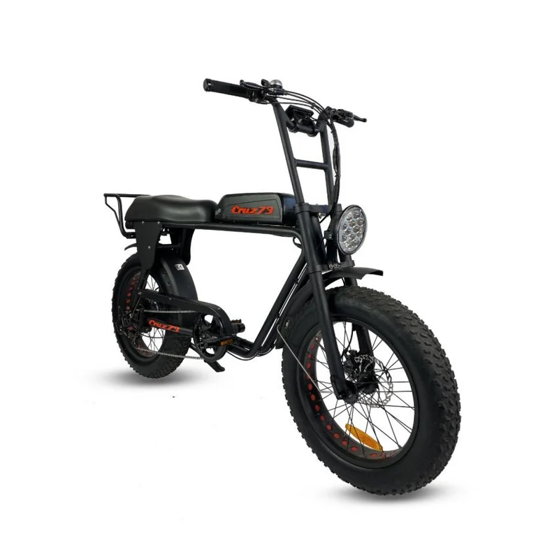 Cruz 73 Retro E-Bike