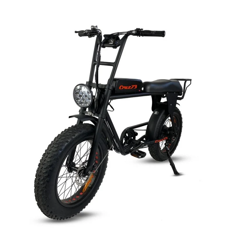 Cruz 73 Retro E-Bike